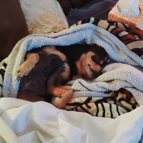 Let's Go 2025🥳 - Picture 2 of 7